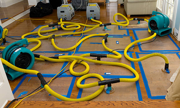 Professional Burst Pipe Water Damage technician working in Alex, OK